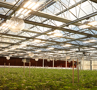 proving grounds greenhouse